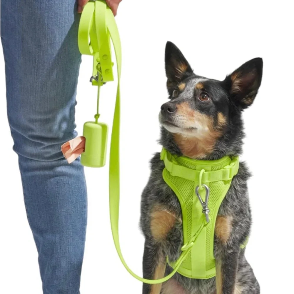Wild One Adjustable Waterproof FlexPoly Coated Nylon Dog Leash - Small - Limeade